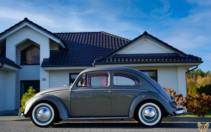 Volkswagen Garbus cena 179000 przebieg: 73845, rok produkcji 1956 z Ostrzeszów małe 742